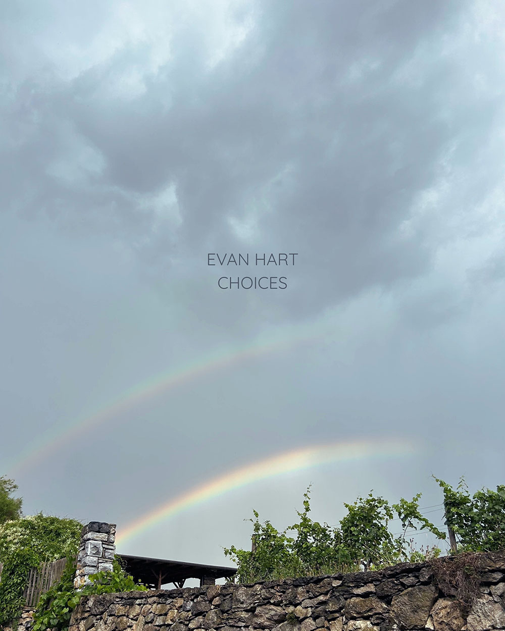 A graphic for the song "Choices". It's of a double-rainbow.