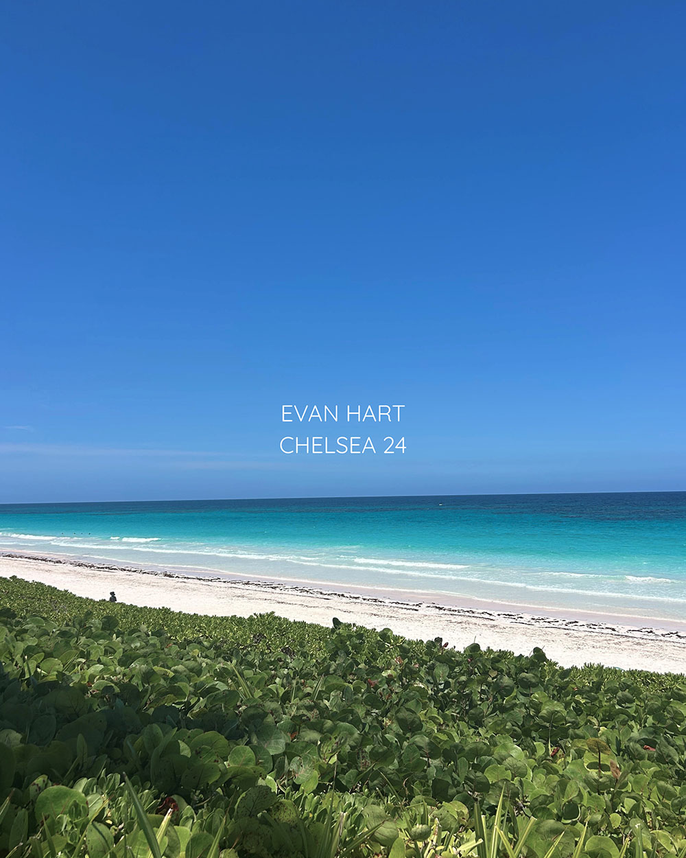 A graphic for the song "Chelsea 24". It's of the beach/ocean in a presumably tropical place.
