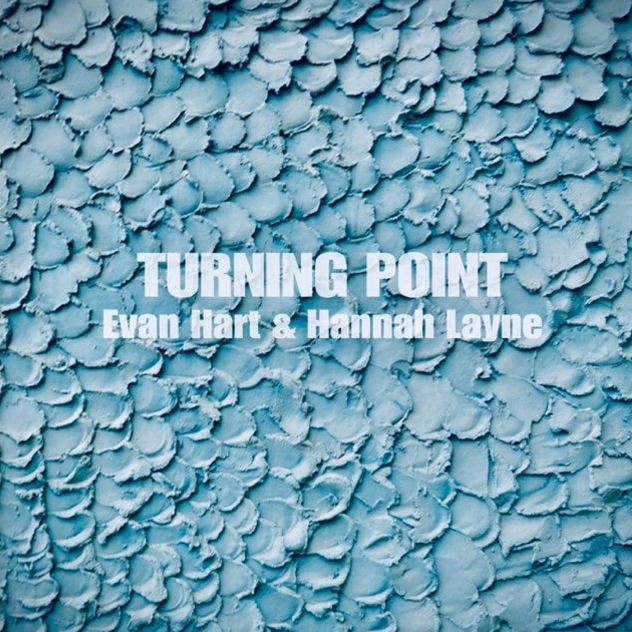 A graphic for the LP "Turning Point". It's an abstract pattern of blue paintmarks that look like scales.